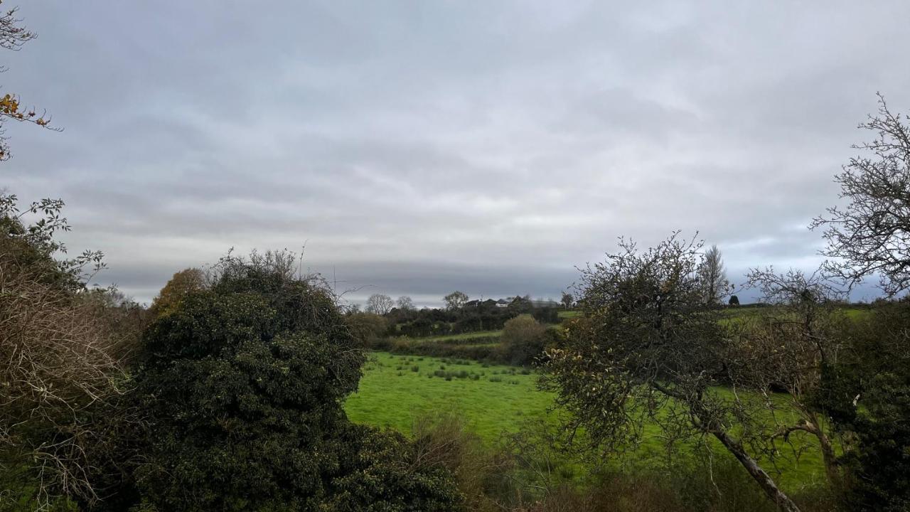 Lisnevenagh Cottage Ballymena Zewnętrze zdjęcie